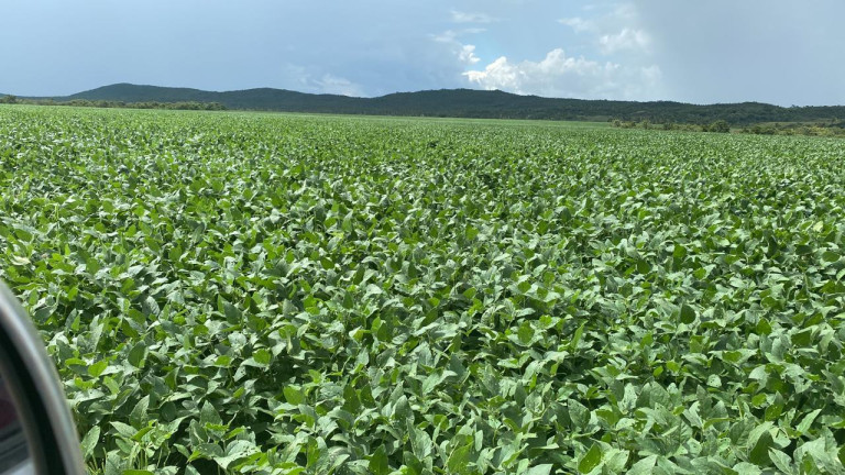 Imagem Fazenda à Venda, 963 m² em Rural - Rosário Oeste Imagem Fazenda à Venda, 963 m² em Rural - Rosário Oeste