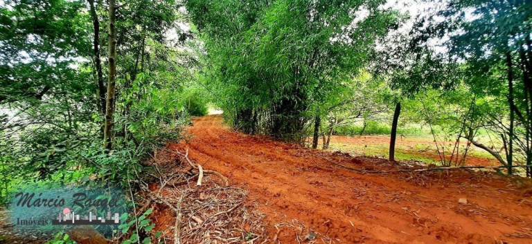 Imagem Imóvel à Venda, 31.000 m² em Caxeta - Campos Dos Goytacazes Imagem Imóvel à Venda, 31.000 m² em Caxeta - Campos Dos Goytacazes