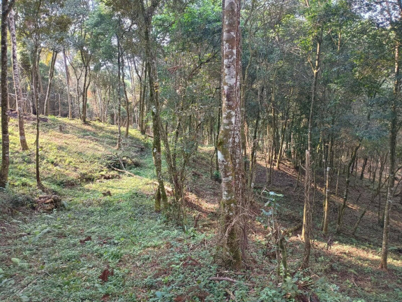 Imagem Chácara à Venda, 25 m² em Curitiba Imagem Chácara à Venda, 25 m² em Curitiba