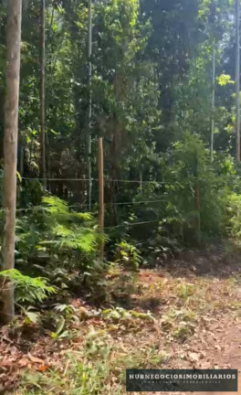 Imagem Terreno à Venda, 750 m² em Trancoso - Porto Seguro Imagem Terreno à Venda, 750 m² em Trancoso - Porto Seguro