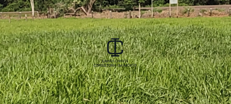 Imagem Terreno à Venda, 4 m² em área Rural - Bandeirantes Imagem Terreno à Venda, 4 m² em área Rural - Bandeirantes