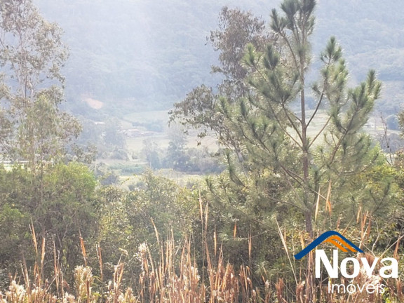 Imagem Imóvel à Venda, 120.000 m² em Linha Temerária - Nova Petrópolis Imagem Imóvel à Venda, 120.000 m² em Linha Temerária - Nova Petrópolis