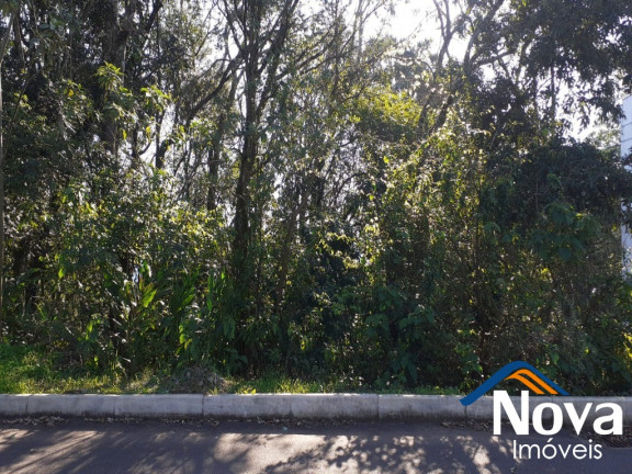 Imagem Imóvel à Venda, 360 m² em Logradouro - Nova Petrópolis Imagem Imóvel à Venda, 360 m² em Logradouro - Nova Petrópolis