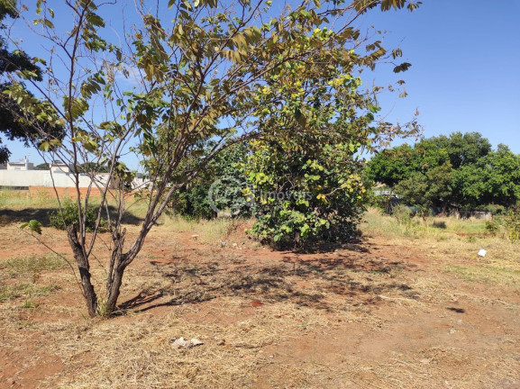 Terreno à Venda, 360 m² em Jardim Mansur - Campo Grande