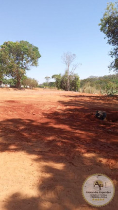 Imagem Imóvel à Venda, 12.276 m² em Chácaras São Pedro - Aparecida De Goiânia Imagem Imóvel à Venda, 12.276 m² em Chácaras São Pedro - Aparecida De Goiânia