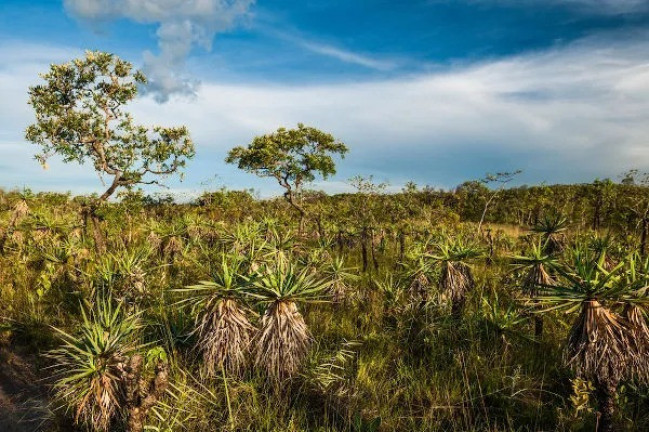 Imóvel à Venda, 343 m² em Area Rural São Gonçalo Do Gurguéia - São Gonçalo Do Gurguéia