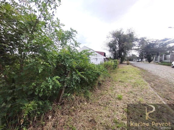 Imagem Terreno à Venda, 1.155 m² em Santo André - São Leopoldo Imagem Terreno à Venda, 1.155 m² em Santo André - São Leopoldo