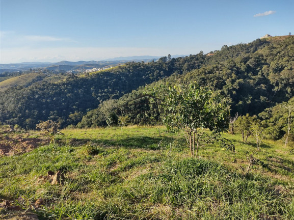 Imagem Terreno à Venda, 1.416 m² em Centro - Cunha Imagem Terreno à Venda, 1.416 m² em Centro - Cunha