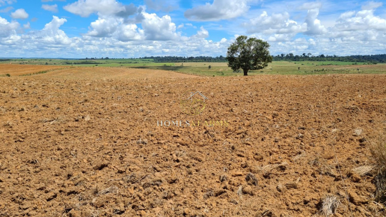 Imagem Imóvel com 3 Quartos à Venda, 43.000 m² em Zona Rural - Aurora Do Pará Imagem Imóvel com 3 Quartos à Venda, 43.000 m² em Zona Rural - Aurora Do Pará