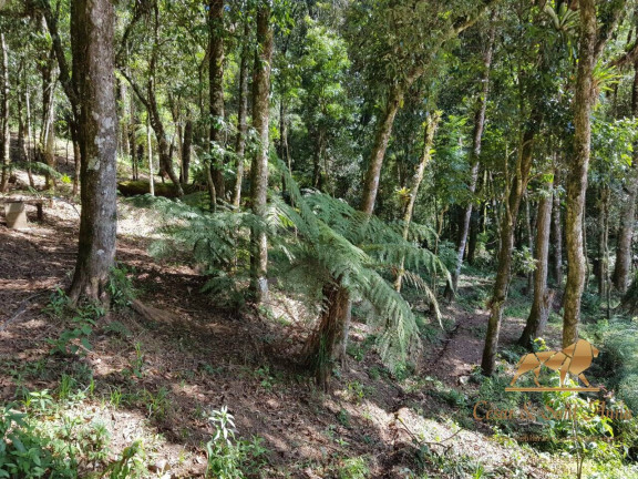 Imagem Casa com 4 Quartos à Venda, 80 m² em Recanto Das Araucárias - Campos Do Jordão