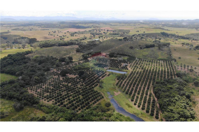 Imagem Imóvel à Venda, 200.000 m² em Bacaxa - Saquarema Imagem Imóvel à Venda, 200.000 m² em Bacaxa - Saquarema