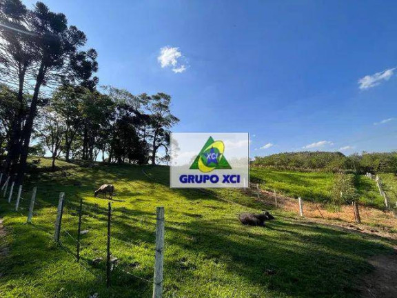 Imagem Fazenda à Venda, 115.000 m² em Piedade - Piedade Imagem Fazenda à Venda, 115.000 m² em Piedade - Piedade