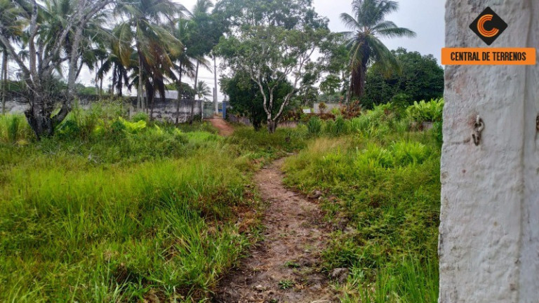 Imagem Terreno à Venda, 2.500 m² em Cascalheira (abrantes) - Camaçari Imagem Terreno à Venda, 2.500 m² em Cascalheira (abrantes) - Camaçari