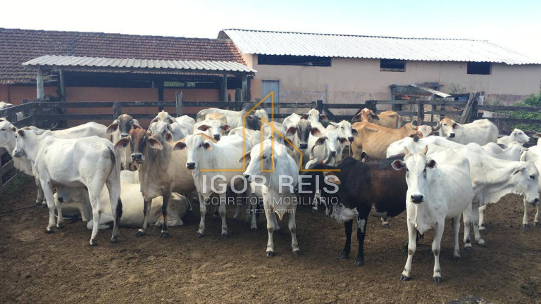 Imagem Fazenda à Venda, 244 m² em Araruama Imagem Fazenda à Venda, 244 m² em Araruama