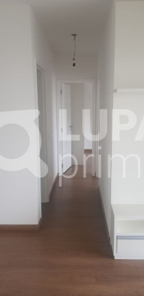 Imagem Apartamento com 2 Quartos à Venda, 65 m² em Jardim São Paulo - São Paulo Imagem Apartamento com 2 Quartos à Venda, 65 m² em Jardim São Paulo - São Paulo