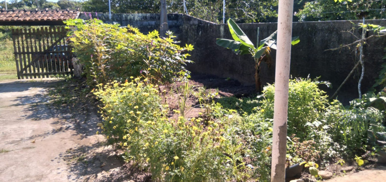 Imagem Imóvel com 2 Quartos à Venda,  em Santa Cruz - Itanhaém