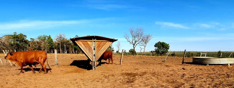 Imagem Fazenda à Venda,  em Paranatinga