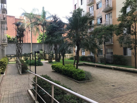 Imagem Apartamento com 2 Quartos à Venda, 46 m² em Cambuci - Sp Imagem Apartamento com 2 Quartos à Venda, 46 m² em Cambuci - Sp