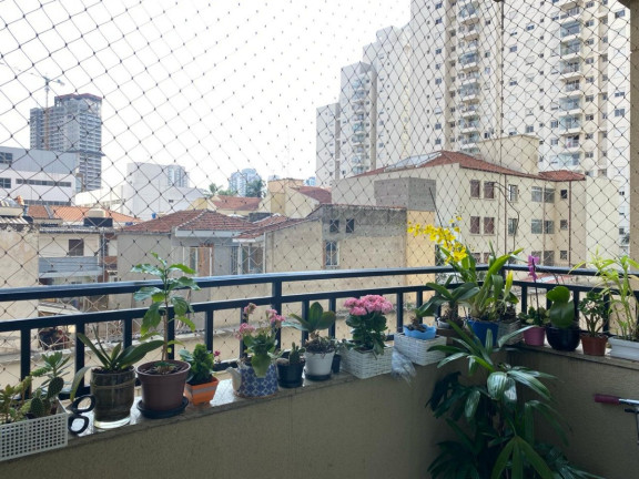 Imagem Apartamento com 2 Quartos à Venda, 60 m² em água Branca - São Paulo Imagem Apartamento com 2 Quartos à Venda, 60 m² em água Branca - São Paulo