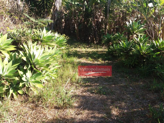 Imagem Fazenda à Venda, 51.000 m² em Areal - Areal