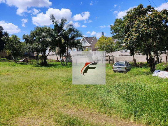 Imagem Terreno à Venda, 1.958 m² em Orleans - Curitiba Imagem Terreno à Venda, 1.958 m² em Orleans - Curitiba