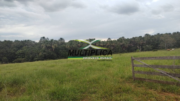 Imagem Chácara à Venda, 2 m² em Uberlândia Imagem Chácara à Venda, 2 m² em Uberlândia