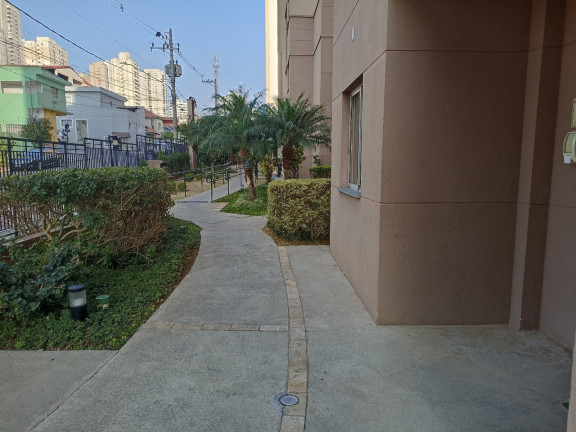 Imagem Apartamento com 2 Quartos à Venda, 48 m² em Saúde - São Paulo