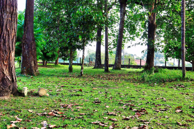 Imagem Terreno à Venda, 48 m² em Flores - Manaus Imagem Terreno à Venda, 48 m² em Flores - Manaus
