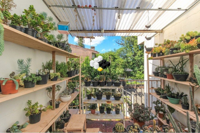 Imagem Casa com 5 Quartos à Venda, 254 m² em Três Figueiras - Porto Alegre