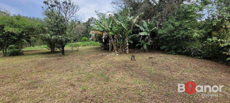 Imagem Terreno à Venda, 754 m² em Velha - Blumenau