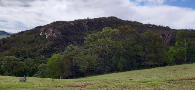 Imagem Chácara à Venda, 13 m² em Rural - Piraju Imagem Chácara à Venda, 13 m² em Rural - Piraju