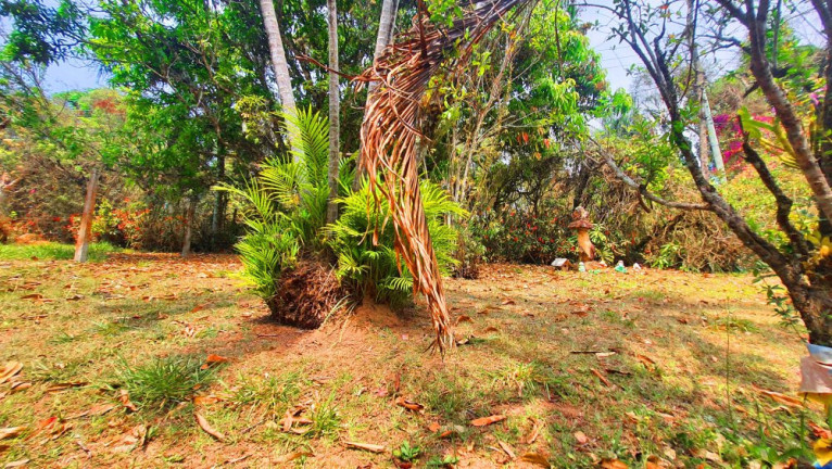 Imagem Imóvel com 2 Quartos à Venda, 881 m² em Loteamento Bosque Dos Palmares - Atibaia Imagem Imóvel com 2 Quartos à Venda, 881 m² em Loteamento Bosque Dos Palmares - Atibaia