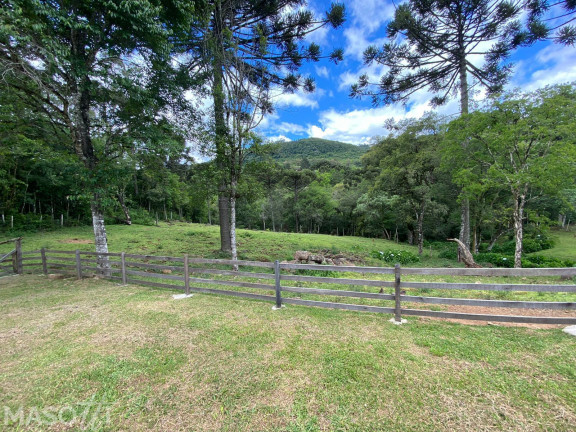 Imagem Chácara com 3 Quartos à Venda, 15.000 m² em Linha Araripe A - Gramado Imagem Chácara com 3 Quartos à Venda, 15.000 m² em Linha Araripe A - Gramado