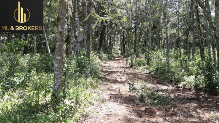 Imagem Imóvel à Venda, 60.500 m² em Quitandinha - Quitandinha Imagem Imóvel à Venda, 60.500 m² em Quitandinha - Quitandinha