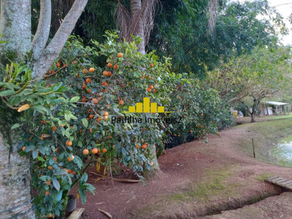 Imagem Chácara com 3 Quartos à Venda, 8.300 m² em Rural - Capela Do Alto Imagem Chácara com 3 Quartos à Venda, 8.300 m² em Rural - Capela Do Alto