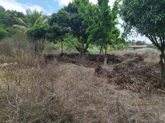 Imagem Imóvel à Venda, em Gravatá - Mandacaru Imagem Imóvel à Venda, em Gravatá - Mandacaru