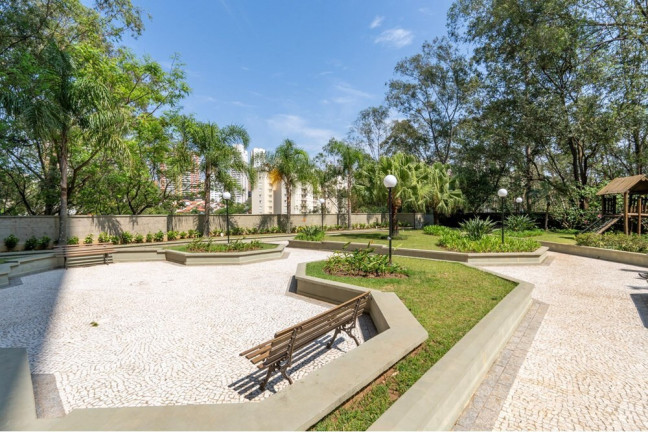 Imagem Apartamento com 3 Quartos à Venda, 82 m² em Paraíso Do Morumbi - São Paulo Imagem Apartamento com 3 Quartos à Venda, 82 m² em Paraíso Do Morumbi - São Paulo