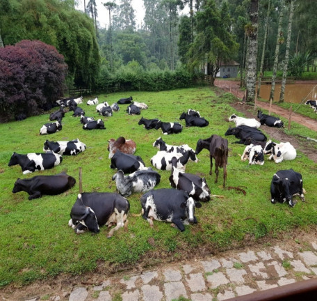 Imagem Imóvel à Venda, em Centro - Bocaina De Minas Imagem Imóvel à Venda, em Centro - Bocaina De Minas