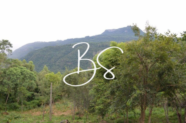 Imóvel à Venda,  em Várzea Grande - Gramado