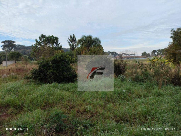 Imagem Chácara com 3 Quartos à Venda, 28.000 m² em Contenda - São José Dos Pinhais Imagem Chácara com 3 Quartos à Venda, 28.000 m² em Contenda - São José Dos Pinhais