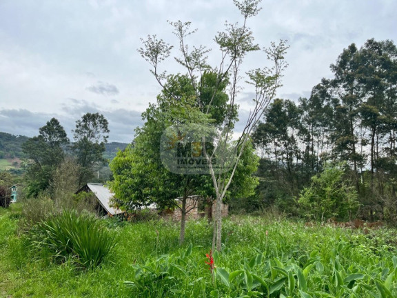 Imagem Imóvel com 2 Quartos à Venda, 70 m² em Linha Brasil - Nova Petrópolis