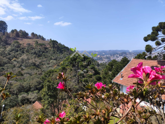 Imagem Casa com 4 Quartos à Venda, 220 m² em Condomínio Colinas Do Sol - Campos Do Jordão Imagem Casa com 4 Quartos à Venda, 220 m² em Condomínio Colinas Do Sol - Campos Do Jordão