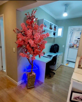 Imagem Apartamento com 3 Quartos à Venda, 96 m² em Boa Vista - São Caetano Do Sul