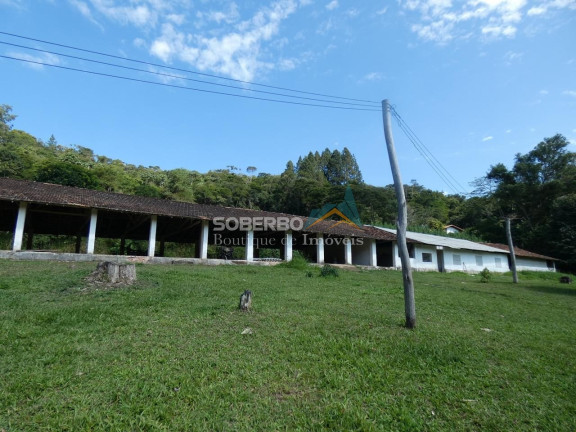 Imagem Imóvel com 3 Quartos para Alugar, 72.000 m² em Granja Mafra - Teresópolis