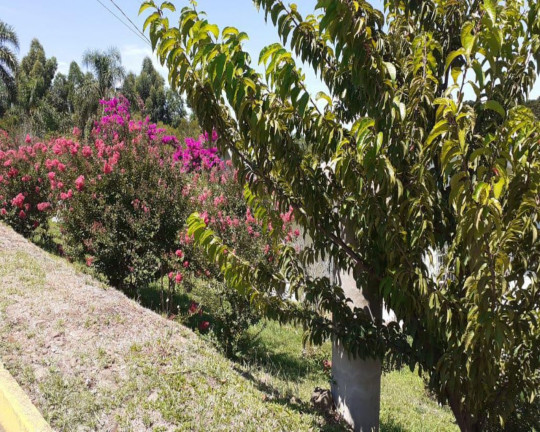 Imagem Imóvel à Venda, 1.272 m² em Pousada Da Neve - Nova Petrópolis