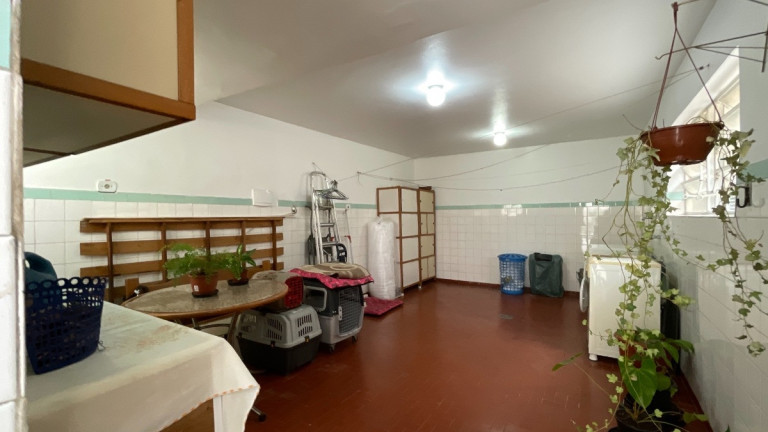 Imagem Casa com 3 Quartos à Venda, 174 m² em Perdizes - São Paulo