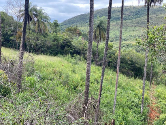 Imagem Imóvel à Venda, 3.629 m² em Quintas Da Serra - Caeté