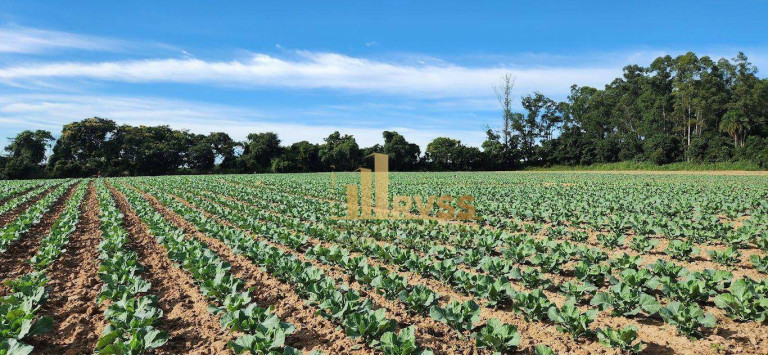 Imagem Fazenda à Venda, 291.613 m² em Porto Feliz - Sorocaba - Porto Feliz Imagem Fazenda à Venda, 291.613 m² em Porto Feliz - Sorocaba - Porto Feliz