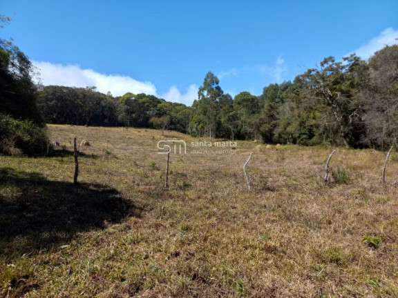 Imagem Imóvel à Venda, 45.900 m² em Bairro Da Estaca - Itamonte
