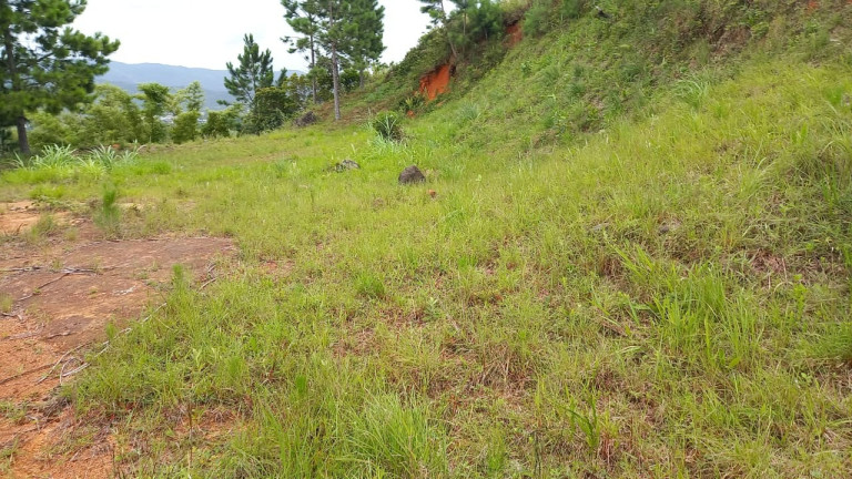 Imagem Terreno à Venda, 2.640 m² em Areias De Palhocinha - Garopaba Imagem Terreno à Venda, 2.640 m² em Areias De Palhocinha - Garopaba